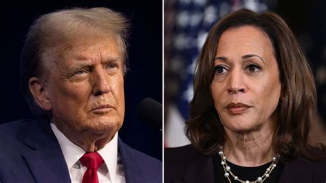 affidavit of economic status|Trump v Harris: The Economist’s presidential election prediction .